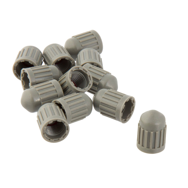 TPMS Grey Plastic Cap with Seal, 100-pack